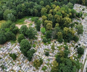 dji_export_1657200964692